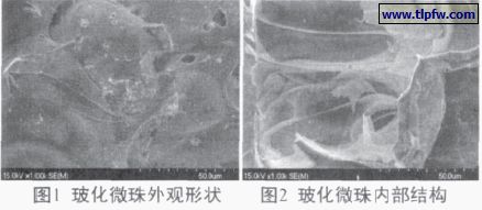?；⒅橥庥^形狀及內(nèi)部結(jié)構(gòu)